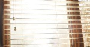 Guia Completo para Escolher a Melhor